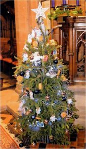 Martin Thomas Butchers tree